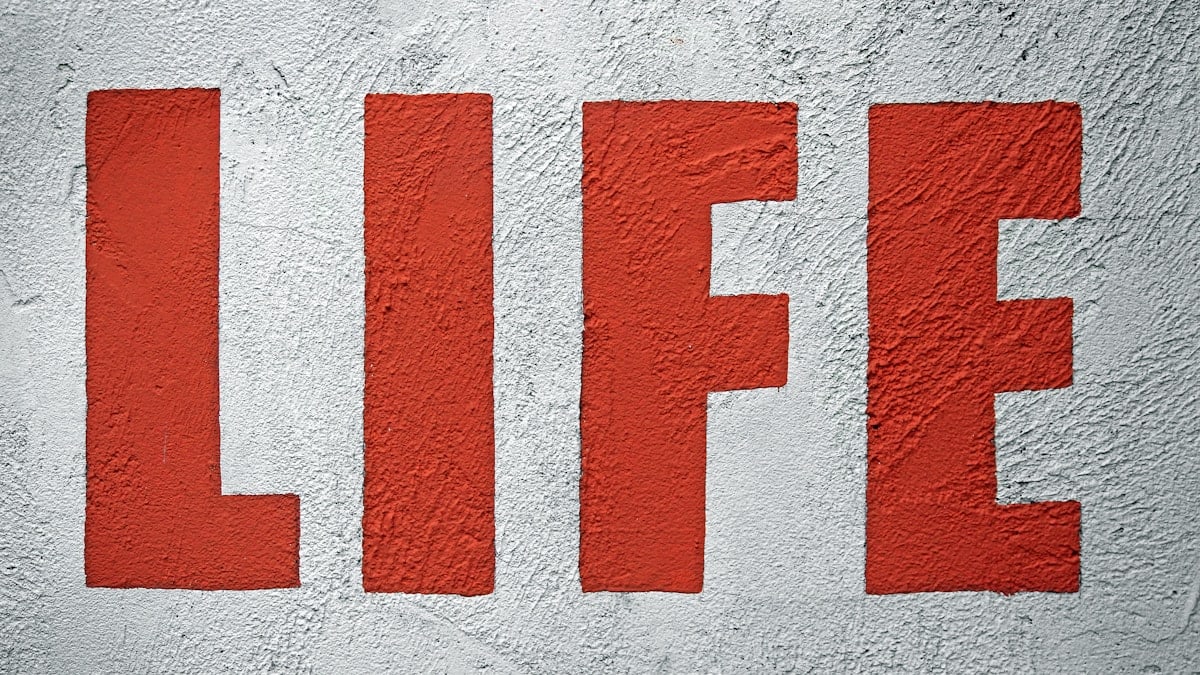 "Life" --- The word LIFE painted in red on a white concrete wall.
